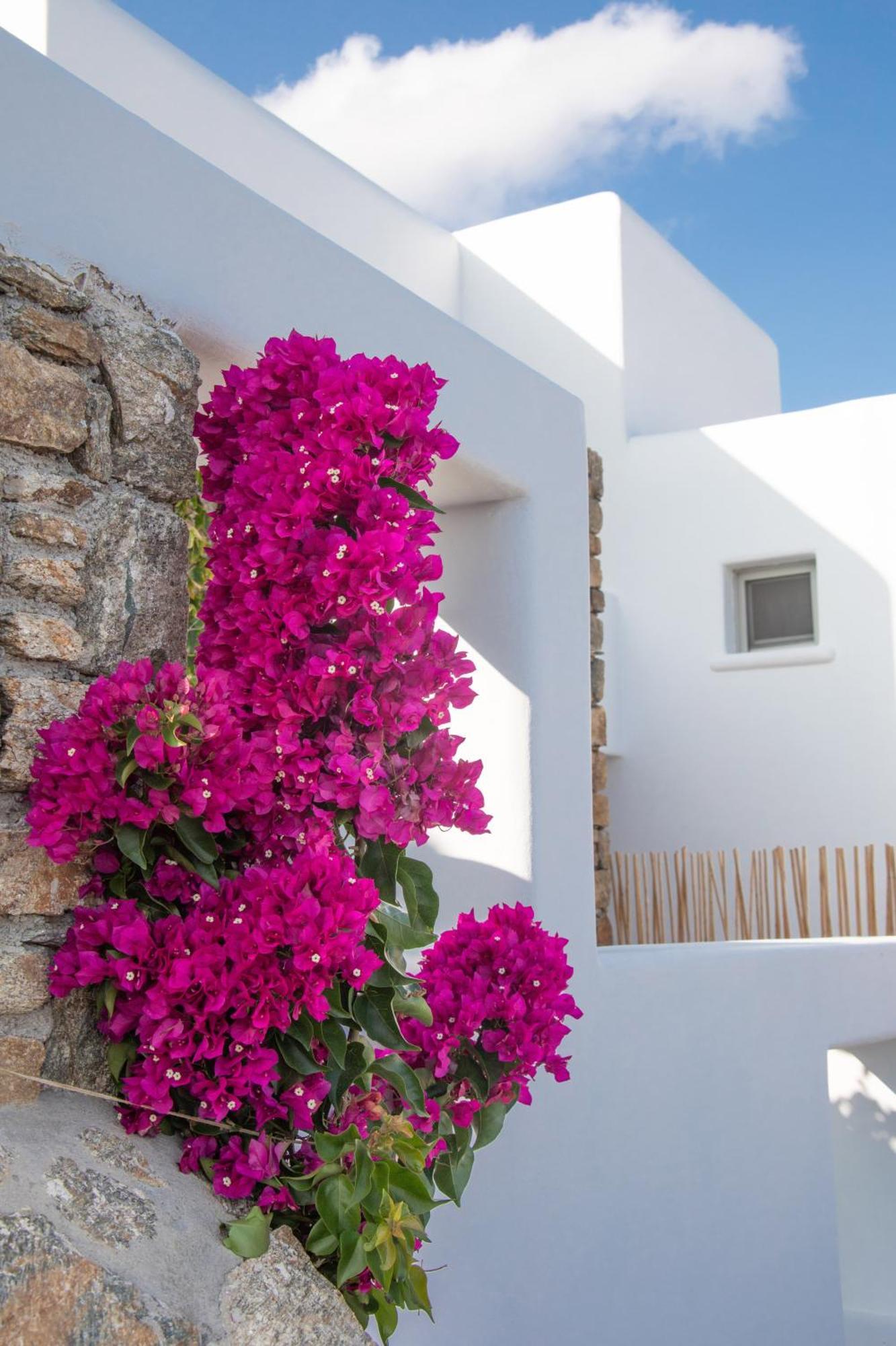 The Summit Of Mykonos Bed and Breakfast Kalo Livadi Eksteriør billede